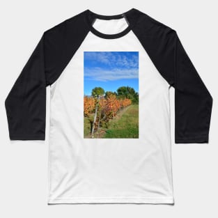 Autumnal Grape Vines Baseball T-Shirt